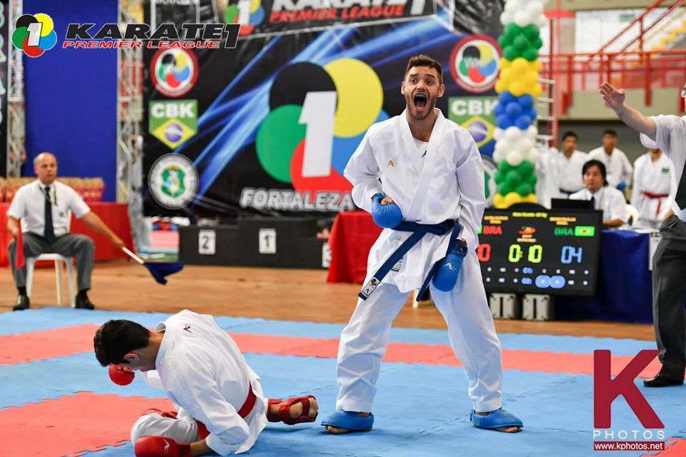 Arawaza WKF Approved Fist Gear