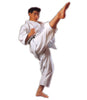 Shureido Superior Medium Weight Gi - TKW-11 Model