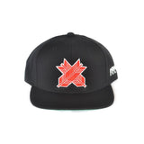 Ronin Logo Snapback Hat